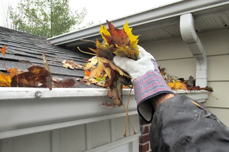 Late Summer Gutter Maintenance